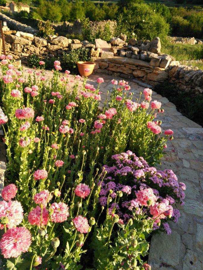 Casa Rural Caseta De L' Hort Вильяфранка-дель-Сид Экстерьер фото